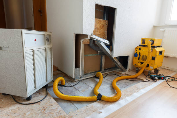 Best Airborne Mold Testing  in Sarasota, FL